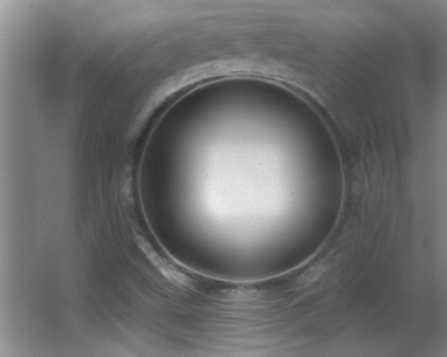X0000062911499200601131412
