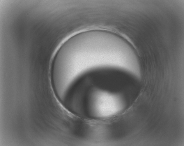 X0000062911508200601131413