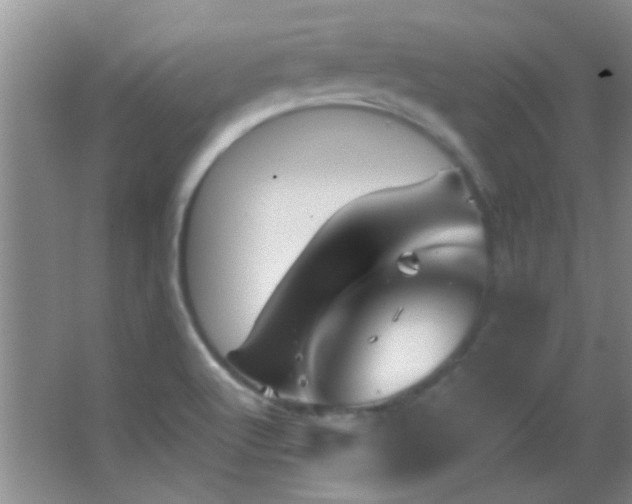 X0000062911512200601131413