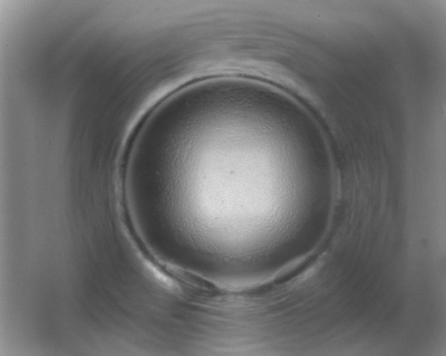 X0000062911517200601131413