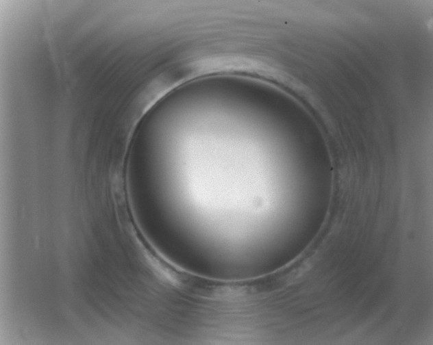 X0000062911521200601131413