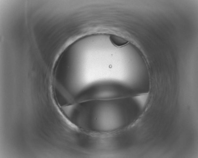 X0000062911525200601131413