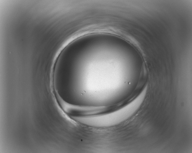 X0000062911528200601131413