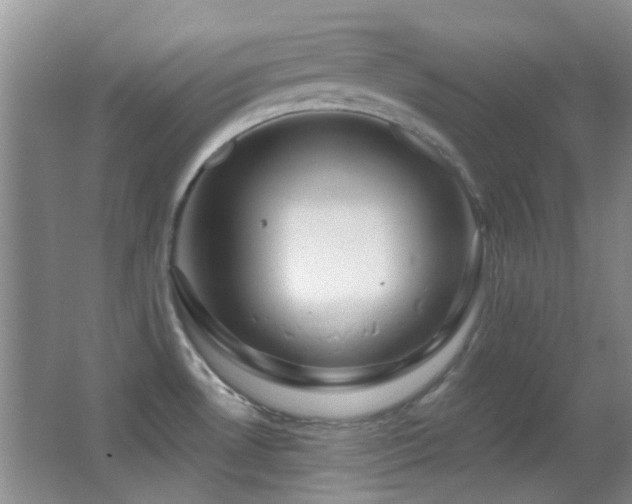 X0000062911530200601131413