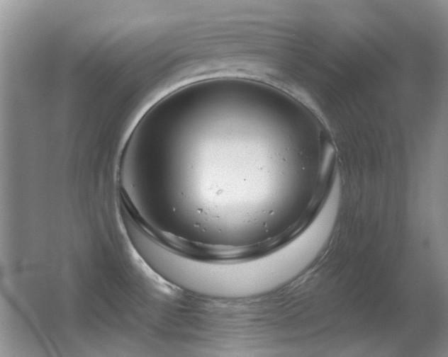 X0000062911532200601131413