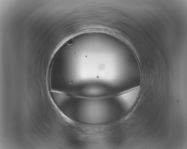 X0000062911533200601131413