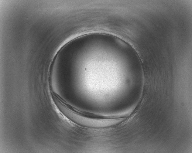 X0000062911534200601131413