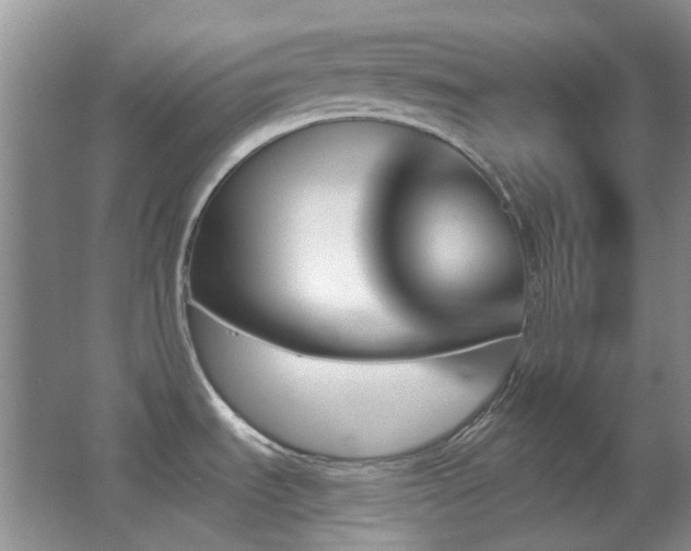 X0000062911535200601131413