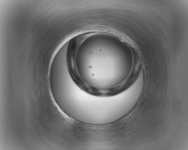 X0000062911536200601131413