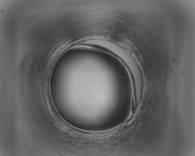 X0000062910001200601181231