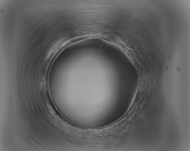 X0000062910002200601181231