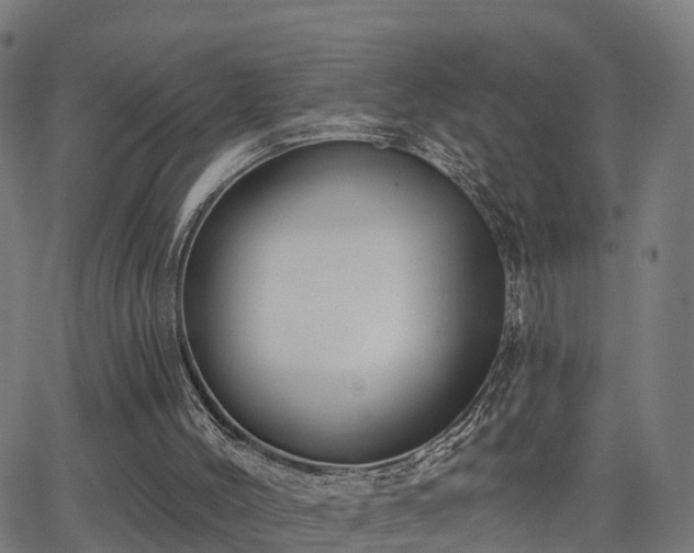 X0000062910004200601181231