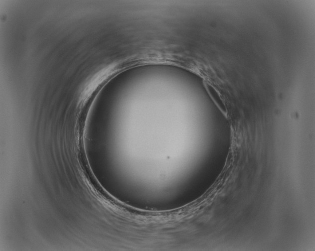 X0000062910005200601181231