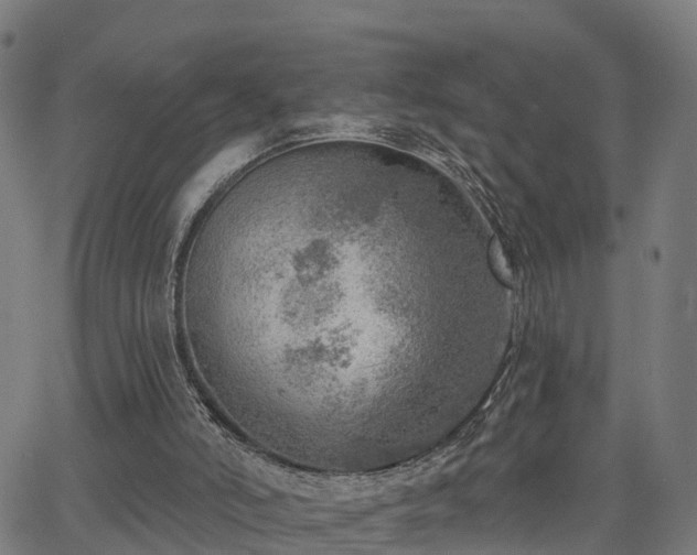 X0000062910006200601181231