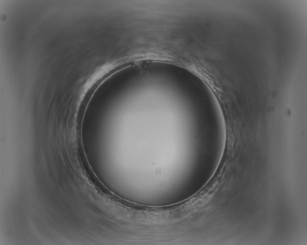 X0000062910008200601181231