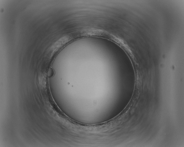 X0000062910010200601181231