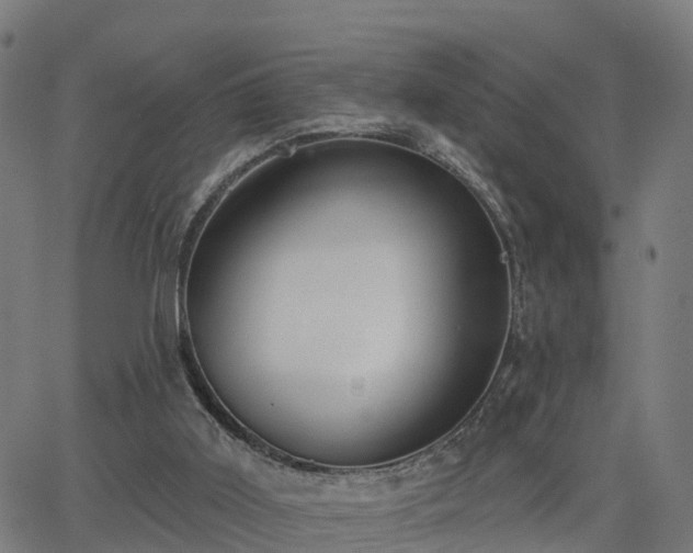 X0000062910011200601181231