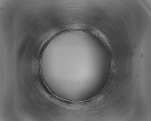 X0000062910012200601181231