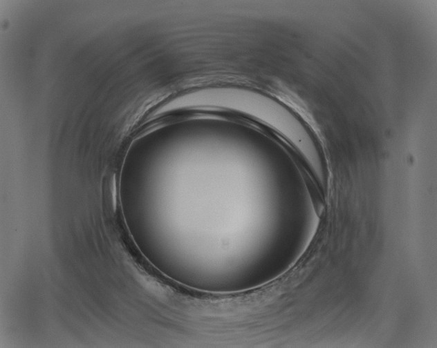 X0000062910013200601181231