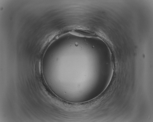 X0000062910014200601181231