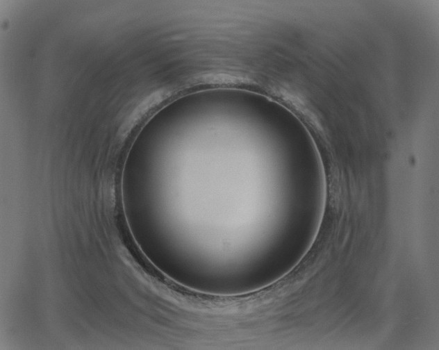 X0000062910015200601181231