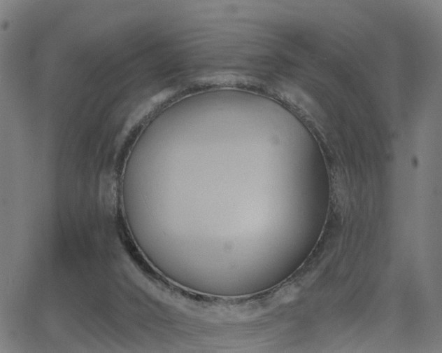 X0000062910016200601181231