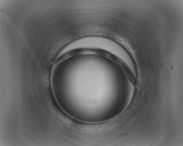 X0000062910017200601181231