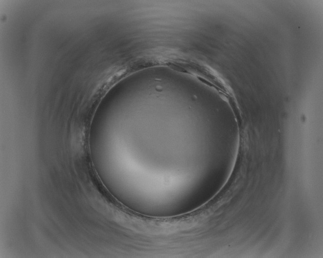 X0000062910018200601181231