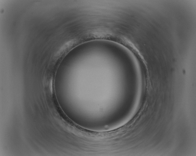 X0000062910019200601181231