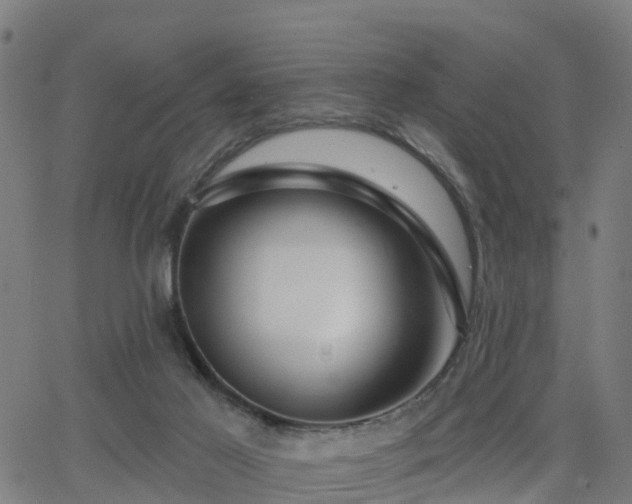 X0000062910021200601181231