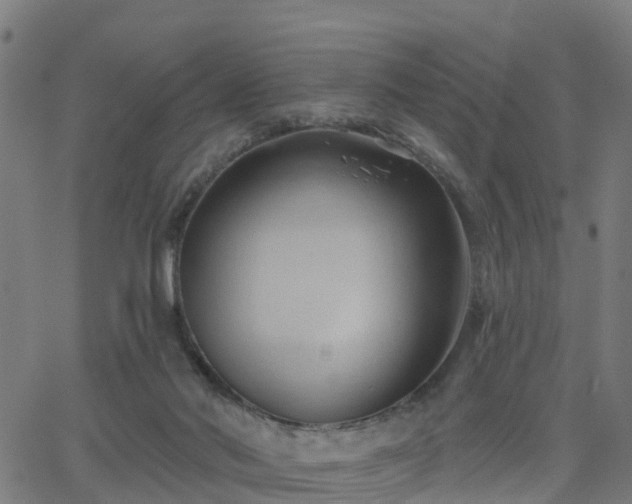 X0000062910022200601181231