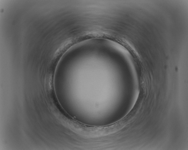 X0000062910023200601181231