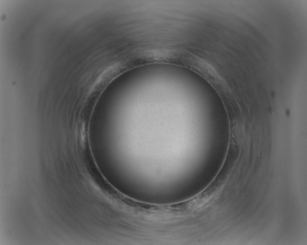 X0000062910024200601181231