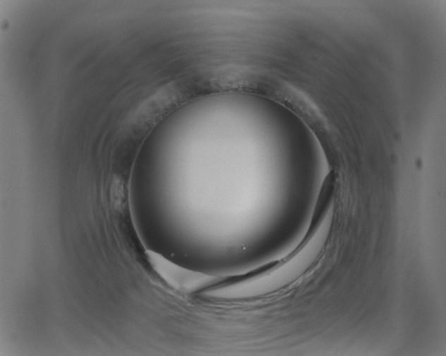 X0000062910025200601181231