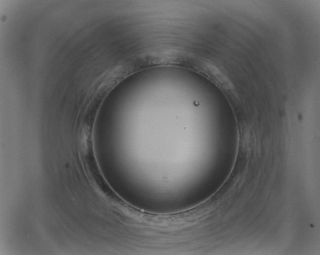 X0000062910026200601181230