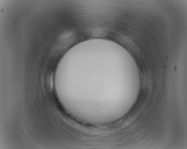 X0000062910028200601181230