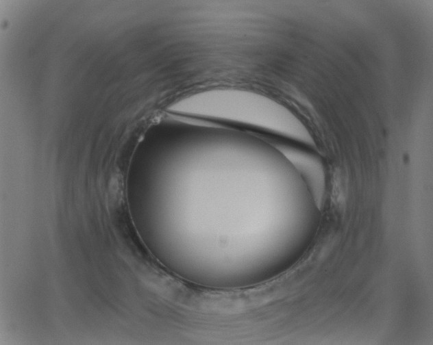 X0000062910029200601181230