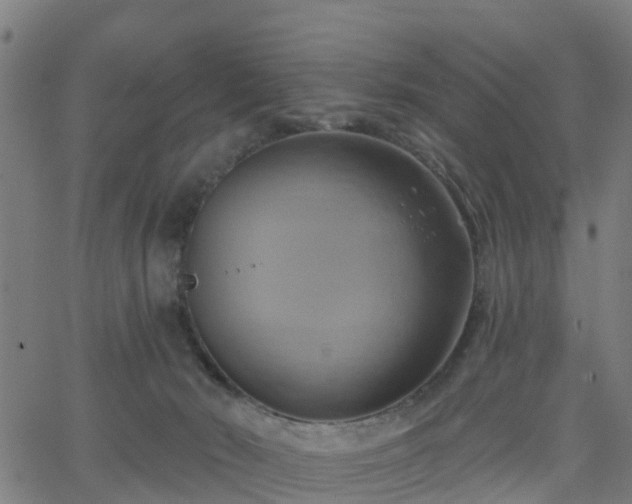 X0000062910030200601181230