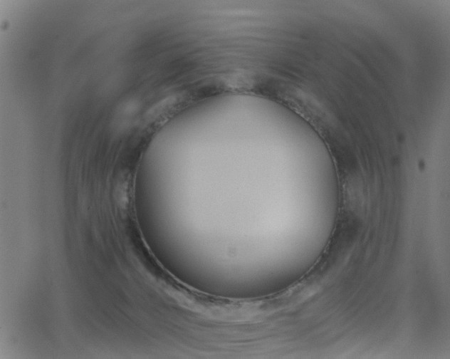 X0000062910032200601181230