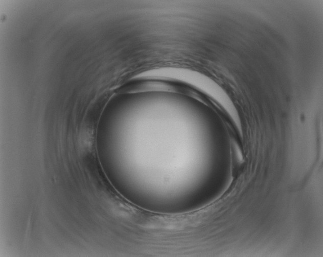 X0000062910033200601181230