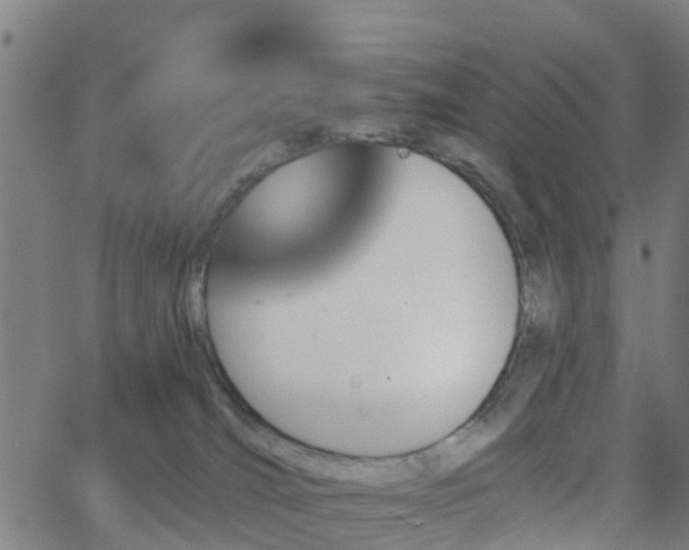 X0000062910036200601181230