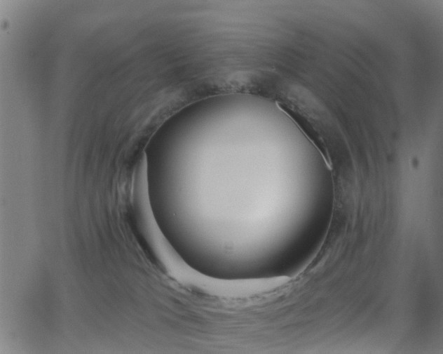 X0000062910037200601181230