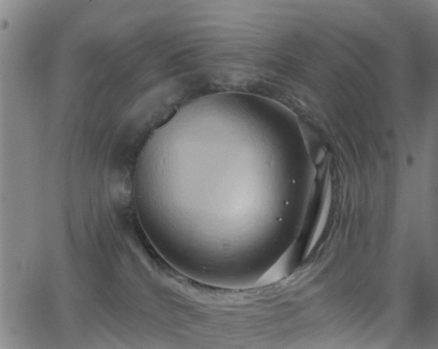 X0000062910040200601181230