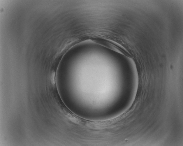 X0000062910041200601181230