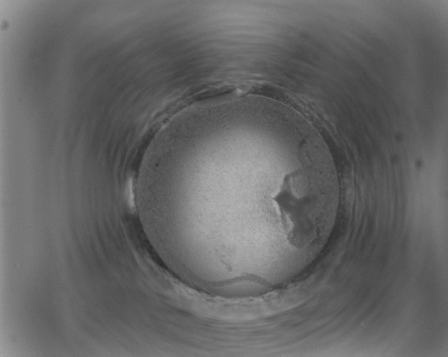 X0000062910042200601181230