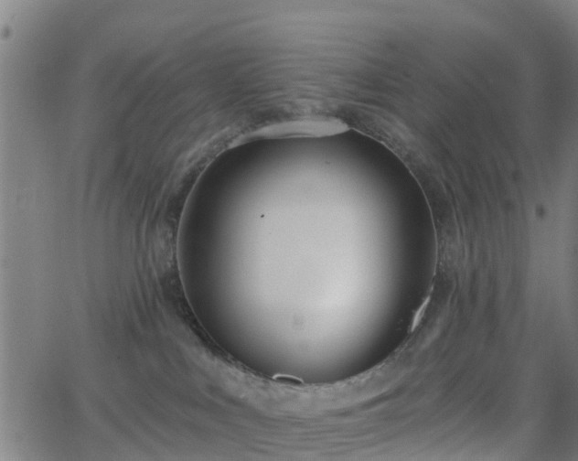 X0000062910043200601181230