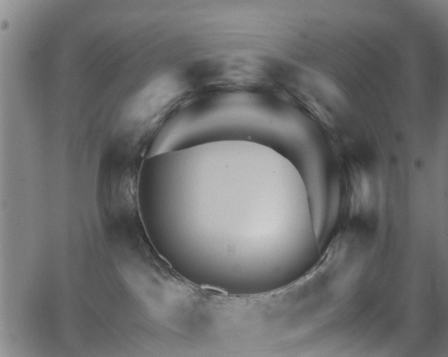 X0000062910045200601181230