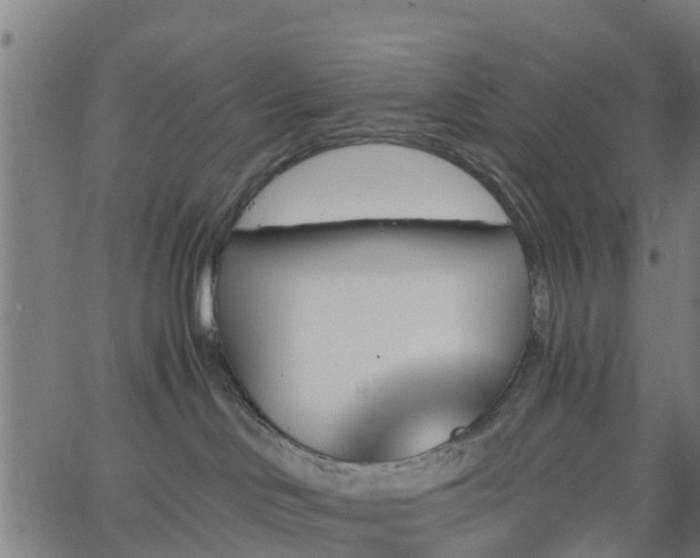 X0000062910046200601181230