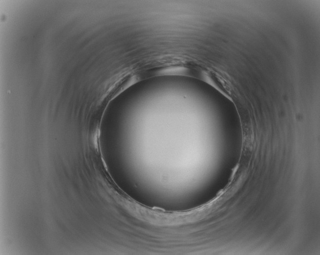 X0000062910047200601181230