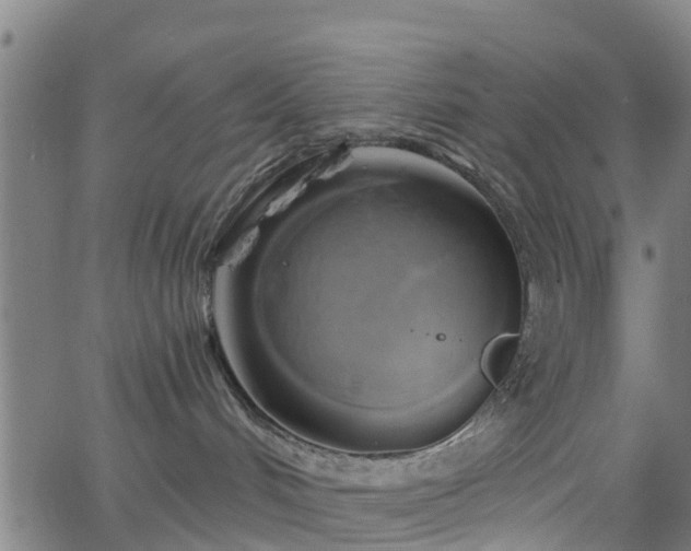 X0000062910048200601181230